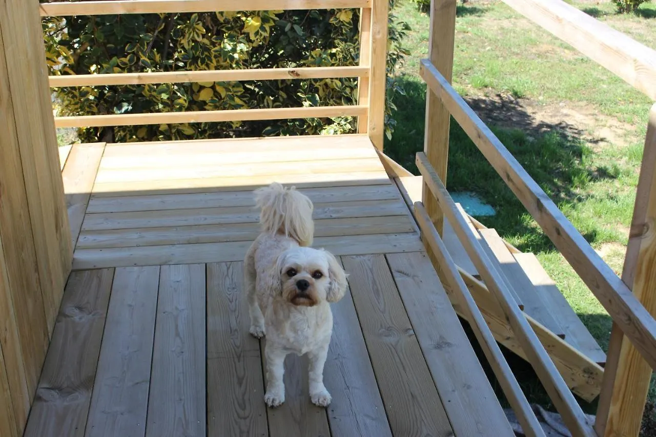 Tiny House Dans Jardin Arbore Perros-Guirec 0*,  Francie